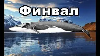 Стрим рр 3 финвал на одну удочку звезды