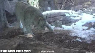 Dünyayı Birde Bu Hızda İzleyin (Ağır Çekimler) Slow Motion hjvq7 2016 UPSS Slow Motion