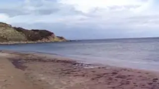 Beylik Koyu 20 Mayıs 2016