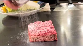 $190 Ohmi Wagyu Lunch - Prestigious Hotel in Kyoto Japan