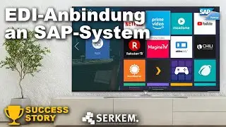 SERKEM - EDI-Anbindung europäischer Handelspartner an das zentrale SAP-System der Hisense GmbH