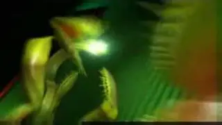 RTE TWO IDENT August 2009 to Present - Sunflowers