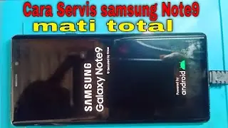 Samsung NOTE 9 totally dead