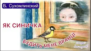 В. Сухомлинський.ЯК СИНИЧКА БУДИТЬ МЕНЕ ВРАНЦІ (Дітям 3+років) . Аудіооповідання./Мова: Українська/