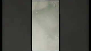 Чеченские муртады под плотным огнём оказались.