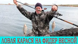 Active biting of a crucian in spring / Catching of a crucian on a feeder