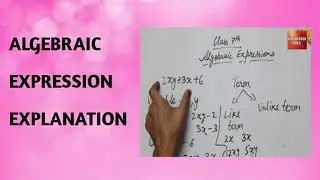 Algebraic Expression Explaination || basic knowledge ||