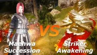 BDO - Maehwa Succession vs Striker Awakening