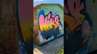 Граффити с ребятами из Чехии short #art #graffiti #painting #cz #czech #tashkent #uzb #uzbekistan