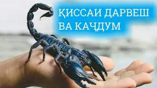 КИССАИ МАРДИ ДАРВЕШ ВА КАЧДУМ
