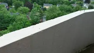 Pigeon deterrent.