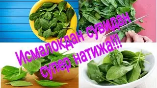 Исмалокнинг фойдаси _ Ismaloqning foydasi.