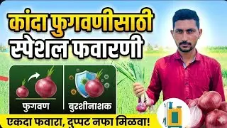 कांदा फवारणीसाठी औषधे कांदा एकच नंबर होणार आता