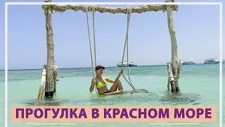 Морская прогулка по Красному морю. Египет