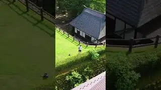 MY DJI MINI SE - AERIAL VIDEO COLLECTION #shorts #dji #djiminise #aerialvideo #japan