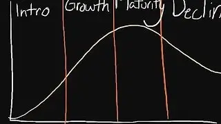 The Product Life Cycle