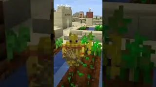 3 ide golem yang bagus untuk dimasukin diminecraft