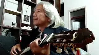 Em đã thấy mùa xuân chưa