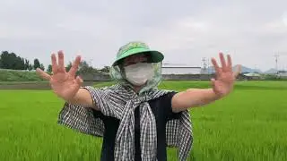 [제5회 농업·농촌 영상 공모전 수상작] 농촌을 보았다. _ 전주현
