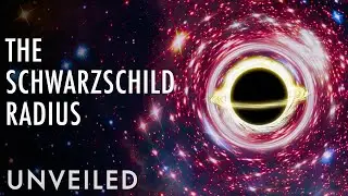 What Are Black Holes Made Of? | Unveiled