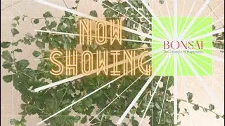 Teknik Bonsai untuk Pemula