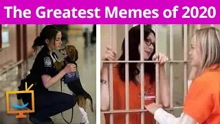 2020 in A Nut Shell: THE GREATEST MEME'S OF 2020