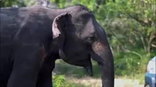 Sri Lanka Trailer By Clipper Travel 01