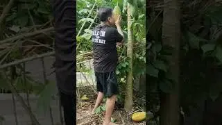 Grabe dito Pala sumikat si FPJ