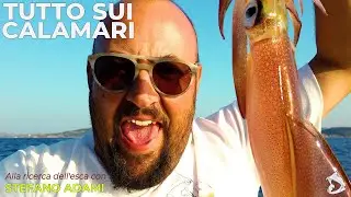 Calamari dalla barca tutto quello che c'è da sapere   Alla ricerca dell'esca con Stefano Adami