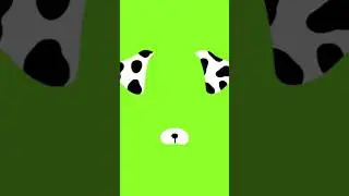 Green Screen Animals Mask Effects 