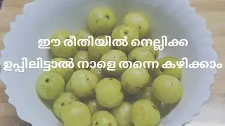 ഈ രീതിയിൽ നെല്ലിക്ക ഉപ്പിലിട്ടാൽ നാളെ തന്നെ കഴിക്കാൻ | Nellikka Uppilittathu | Nellika Recipe