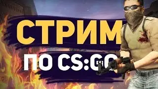 Стрим по CS:GO:Учимся играть