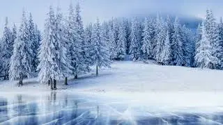 BEMC: 2 Horns Concerto For String Orchestra in F Major 3rd Movement by A. L. Vivaldi
