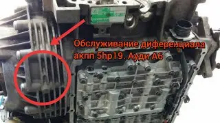 А6 Ц5. Проверка уровня масла в дифференциале  Акпп 5hp19