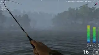 Fishing Planet Река Тибр Прикольное местечко 2019