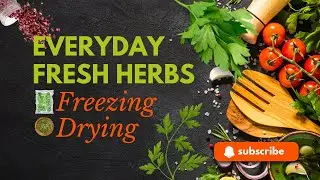Preserve Fresh Herbs Freezing and Drying Methods