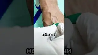 новые нейрофичи / нейросети 