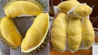 MALAYSIA Durian King7 2024