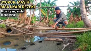 Mancing belut lapar diparit yang mulai mengering, mantap hasilnya