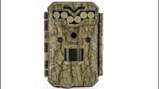 FOTOPASCA KEEPGUARD KG795W - Jeleň lesný