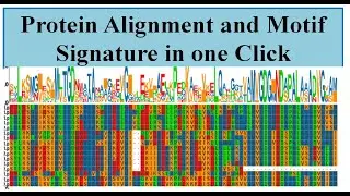 Protein Alignment
