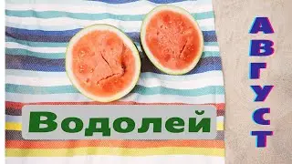 🍉Прогноз для Водолія🍆🌞АВГУСТ 2023🥤🌽
