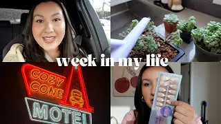 week in my life vlog: press on nail routine, disneyland, & entering my plant mom era