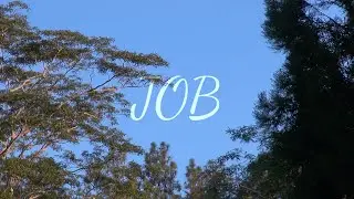 Job by Daniel Polisel