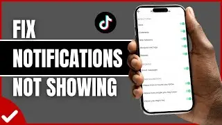 Fix- TikTok Notification Not Showing!