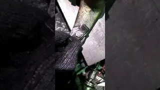 Износ из-за "обильной смазки"