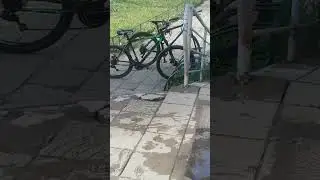 самокат доставка начало дня