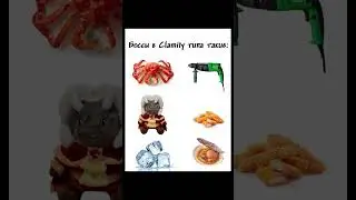МЕМЫ ПРО ТЕРРАРИЮ // БОССЫ В CALAMITY BE LIKE #террария #мемы #calamity