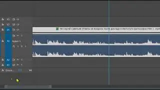 Урок 16. Запись и работа со звуком в Premiere Pro
