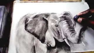 How to draw an elephant (time lapse)